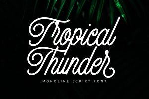 Tropical Thunder-Monoline Script