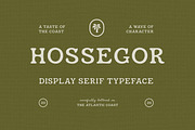 Hossegor - Retro Surf Serif Display, a Serif Font by pixelbuddha.net (Thumbnail 1 of 6)
