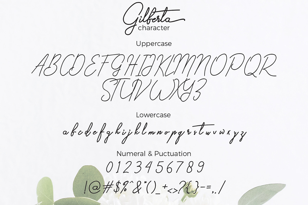 Gilberta - Signature Font preview 7