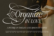 Dove and Goose Typeface, a Serif Font by alit design (Thumbnail 4 of 20)