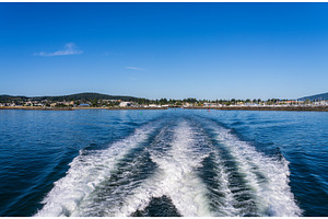 Whale watching tour departing from, a Nature Photo by Backyard Stock