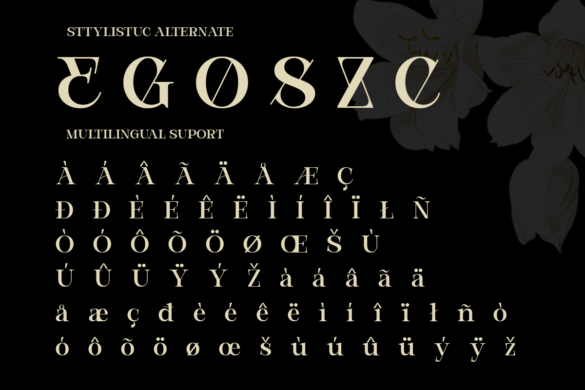 Modern Elegant Serif - Bevola, a Serif Font by RagamKata (Photo 10 of 10)