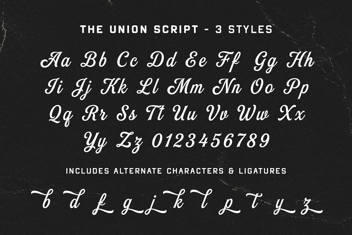 The Union Font Bundle + Extra, a Handwritten Font by Davide Bassu (Photo 14 of 16)