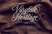 Baliglad – Stylish Calligraphy Font, a Script Font by Honestype (Thumbnail 8 of 12)