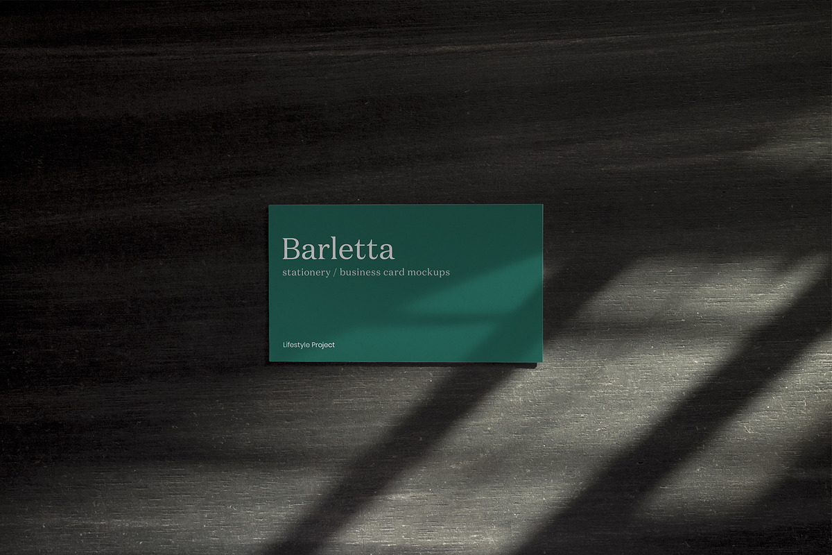 Photo Business Card Mockups, a Print Template by Lifestyle Project (Photo 7 of 7)