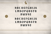 Black Magic - Occult Serif Typeface, a Serif Font by Dynamo Ultima (Thumbnail 10 of 12)