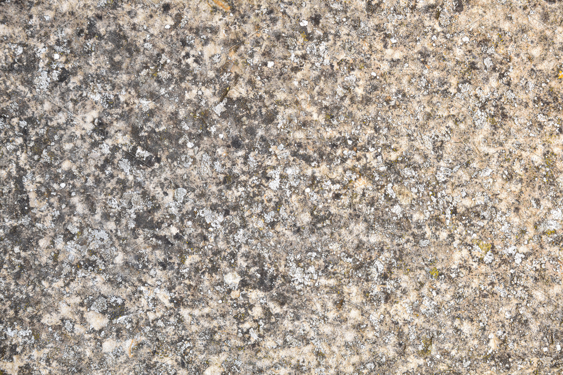 Detail of rough and dirty natural granite stone, an Abstract Photo by Davizro's Market