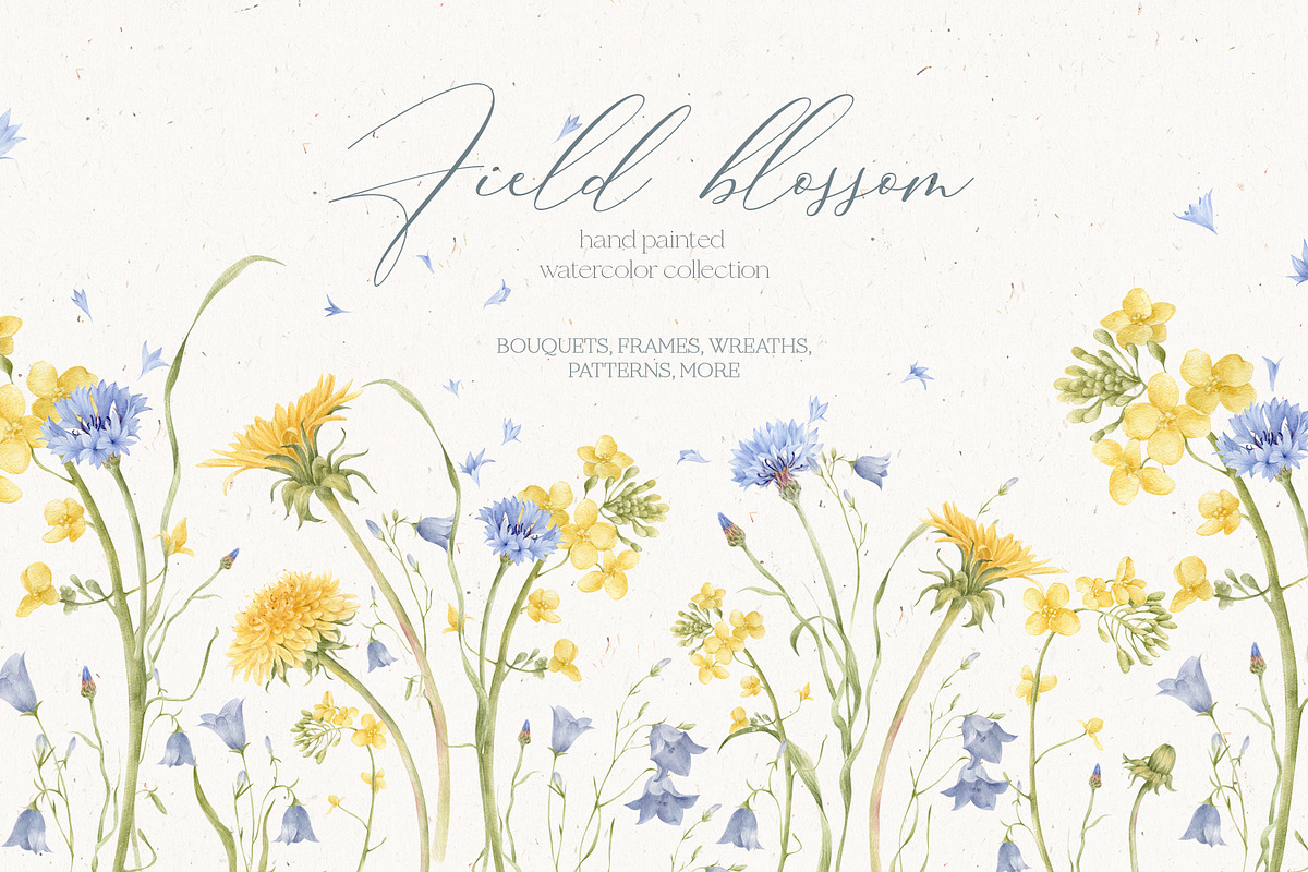 WILDFLOWERS - watercolor collection, an Illustration by Nastya.Chay (Photo 1 of 12)