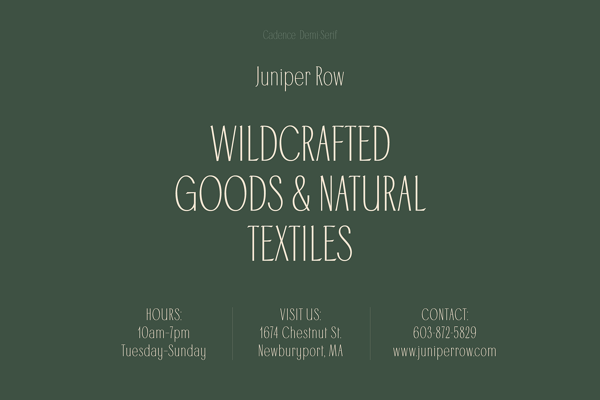 Cadence Demi-Serif Display Font, a Serif Font by Type and Graphics Studio (Photo 6 of 28)