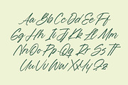 Blynkas Scripte Handwritten Font, a Script Font by Letterena Studios Script (Thumbnail 12 of 15)