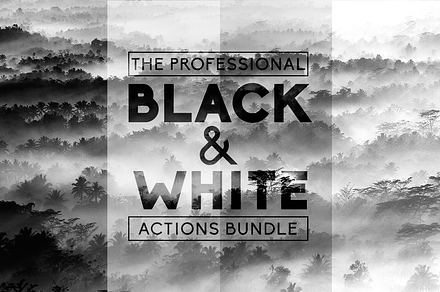 Black & White Pro Actions Bundle