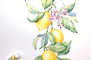 Watercolour Lemons, a Food Illustration by Botanical Art Shop (Thumbnail 4 of 4)
