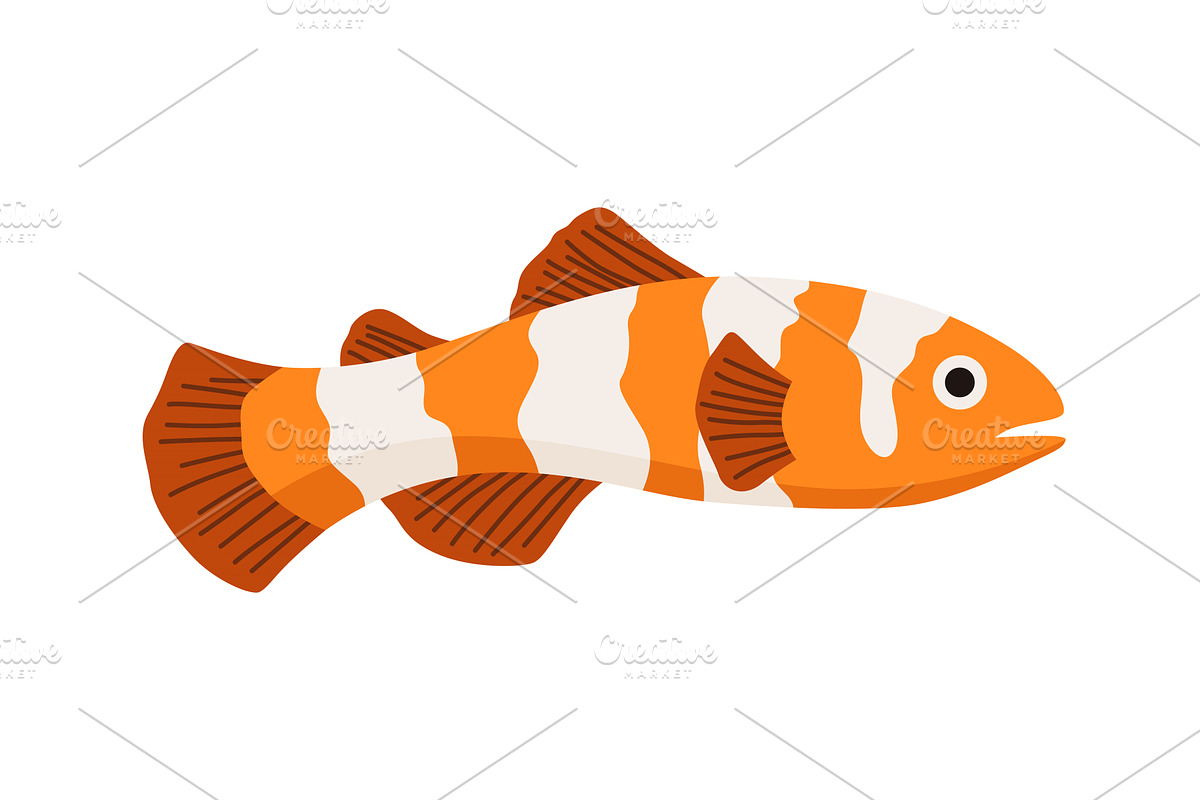Aquarium fish. Beautiful underwater, an Animal Illustration by the8monkey