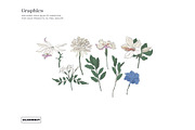 Elegant Botanical Floral Pattern, a Pattern Graphic by likorbut (Thumbnail 7 of 14)