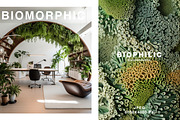80 Biophilic backgrounds, a Background Graphic by Polli Deeva (Thumbnail 8 of 16)