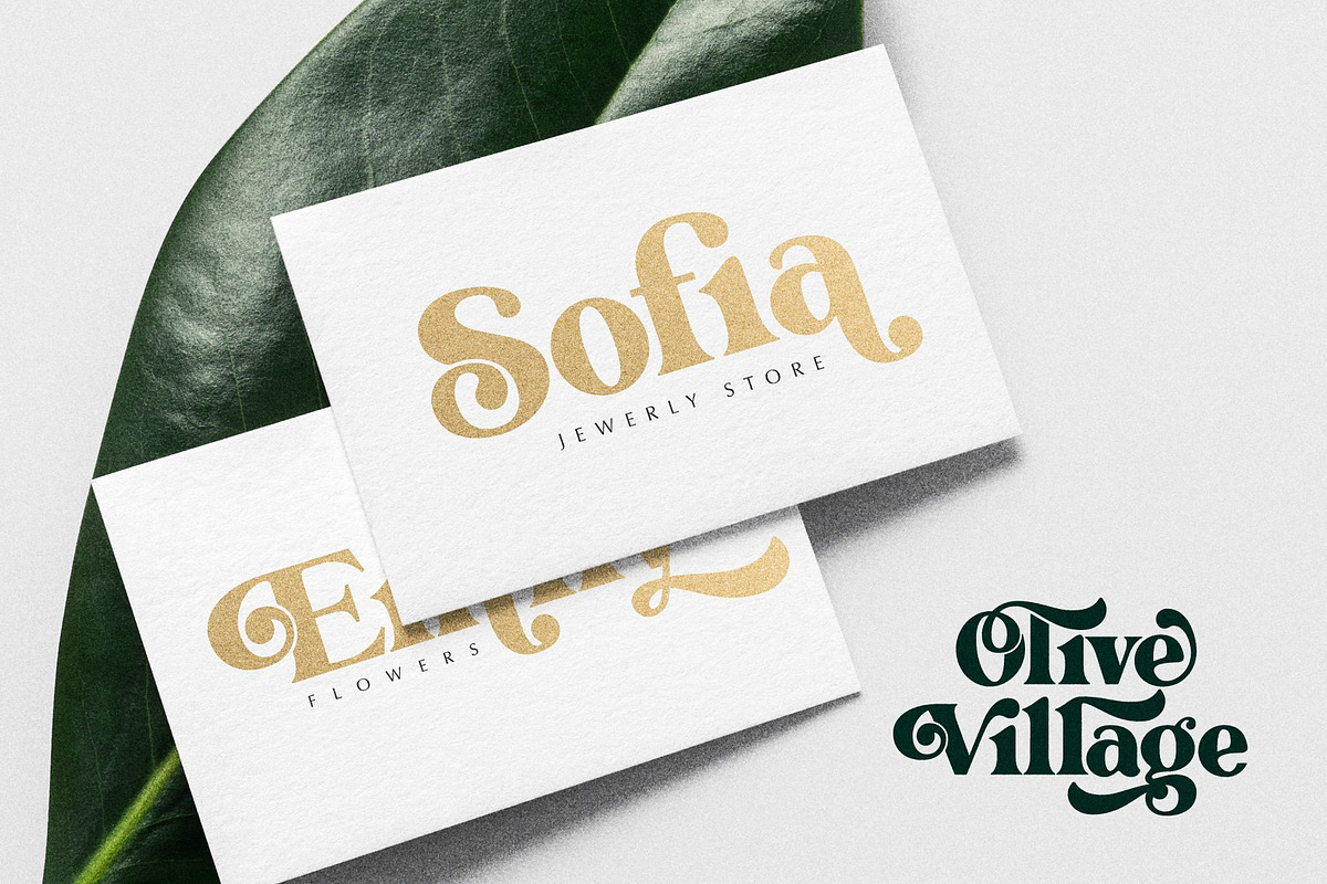The Modern Typography Bundle, a Serif Font by Ivan Rosenberg (Photo 44 of 58)