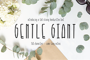 Gentle Giant Condensed Font, a Sans Serif Font by On the Mark Designs (Thumbnail 1 of 7)