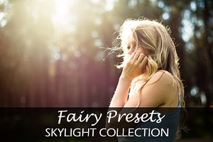 LR Skylight Collection