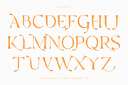Kagnue Serif | Modern Classy Font, a Serif Font by Youthlabs Studio (Thumbnail 16 of 20)
