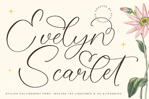 Evelyn Scarlet Stylish Calligraphy