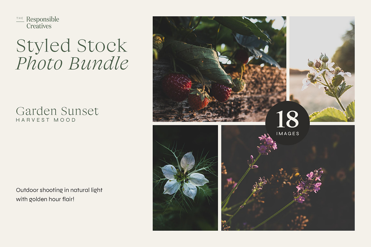 Garden Sunset | Photo Bundle, a Nature Photo by The Responsible Creatives (Photo 1 of 11)