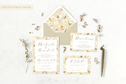 Florelegance Patterns Textures Logos, a Decorative Illustration by eclosque (Thumbnail 5 of 16)