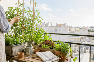 Woman tending balcony garden with ur, a Photo by Dvoevnore photos
