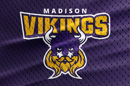 Vikings Logo
