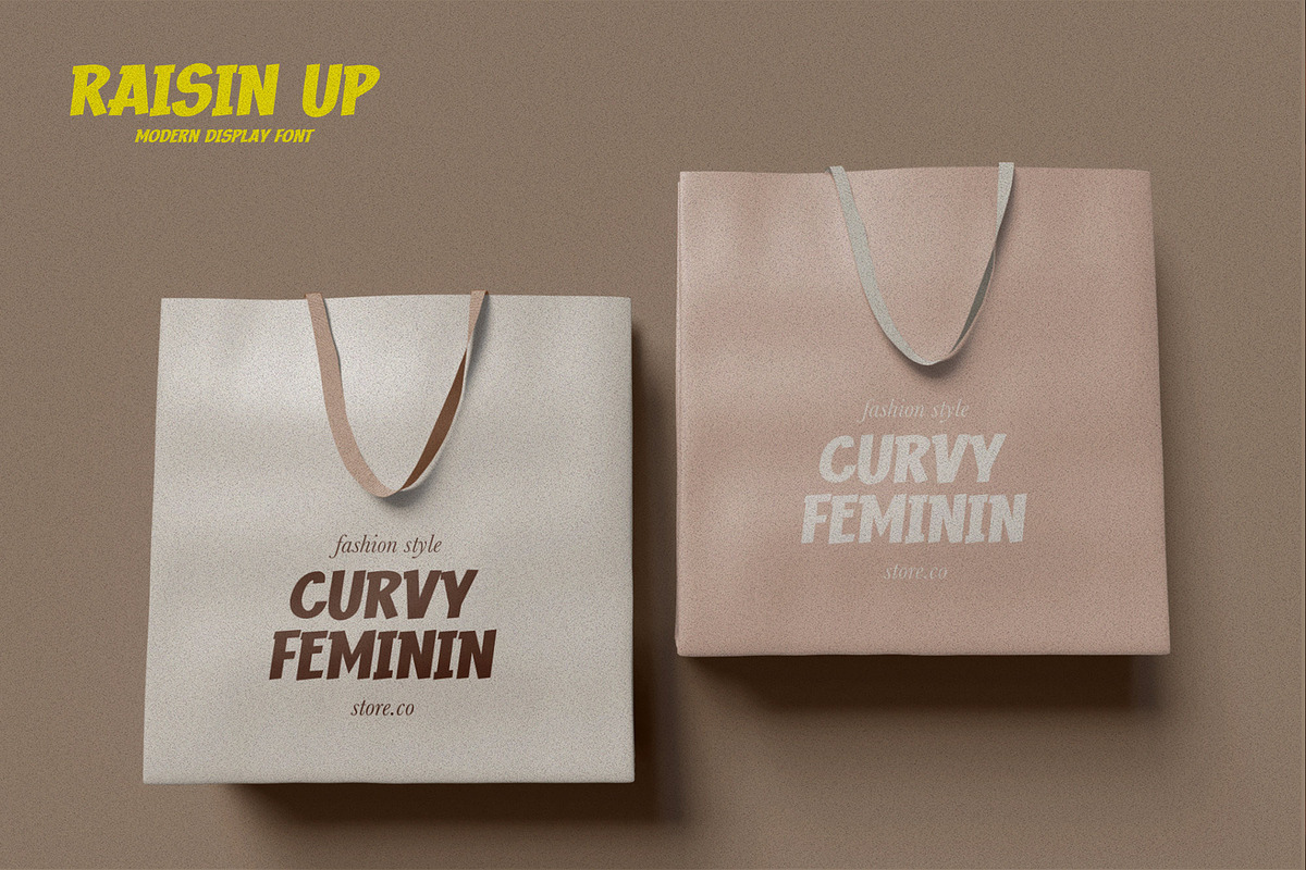 RAISIN UP - Modern Display Font, a Font by Gassstype (Photo 5 of 8)