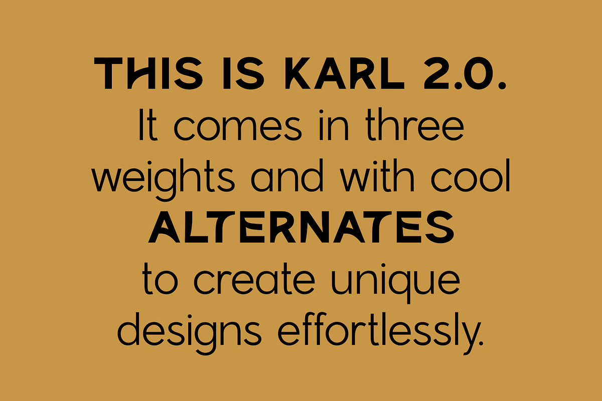 Karl – Cool Sans w Unique Alternates, a Sans Serif Font by Local Desk Designstudio (Photo 14 of 28)