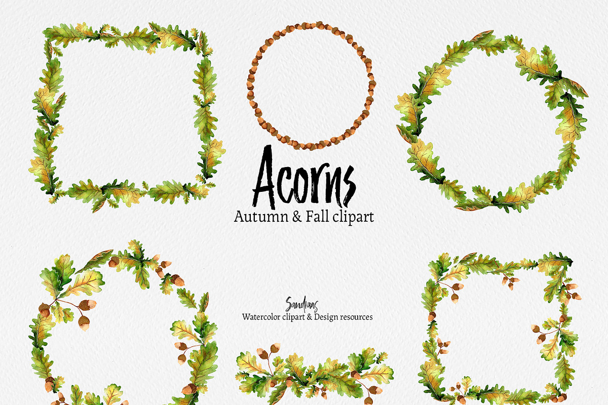 Autumn clip art: ACORNS watercolor, an Illustration by SandraGraphicDesign (Photo 5 of 7)