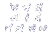 Breeds Dog Handdrawn Vol 2, an Animal Illustration by SLAB! Design (Thumbnail 2 of 3)