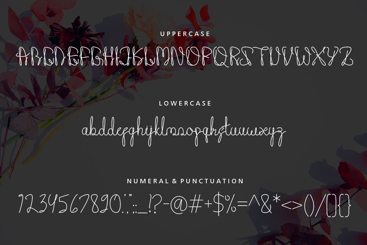 Beauty baey - Monoline Script Font, a Script Font by Akcsel Tara (Photo 9 of 10)