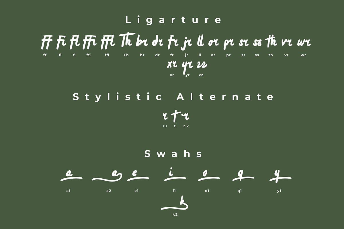 Verdonk - Retro Script Display, a Script Font by Mofr 24 (Photo 7 of 8)