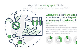 Agriculture PowerPoint Infographic