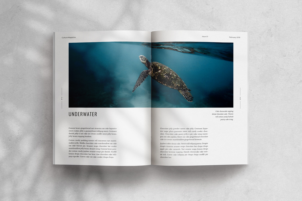 Cultura Magazine Template (InDesign), a Magazine Template by Eternel Design Studio (Photo 4 of 13)