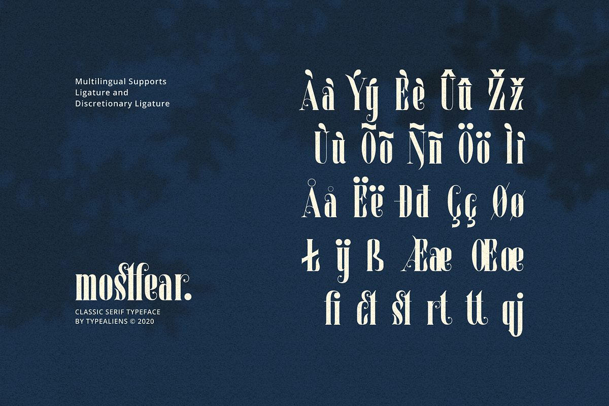 Mostfear for Elegant Vintage Logo, a Serif Font by ilhamtaro (Photo 10 of 10)