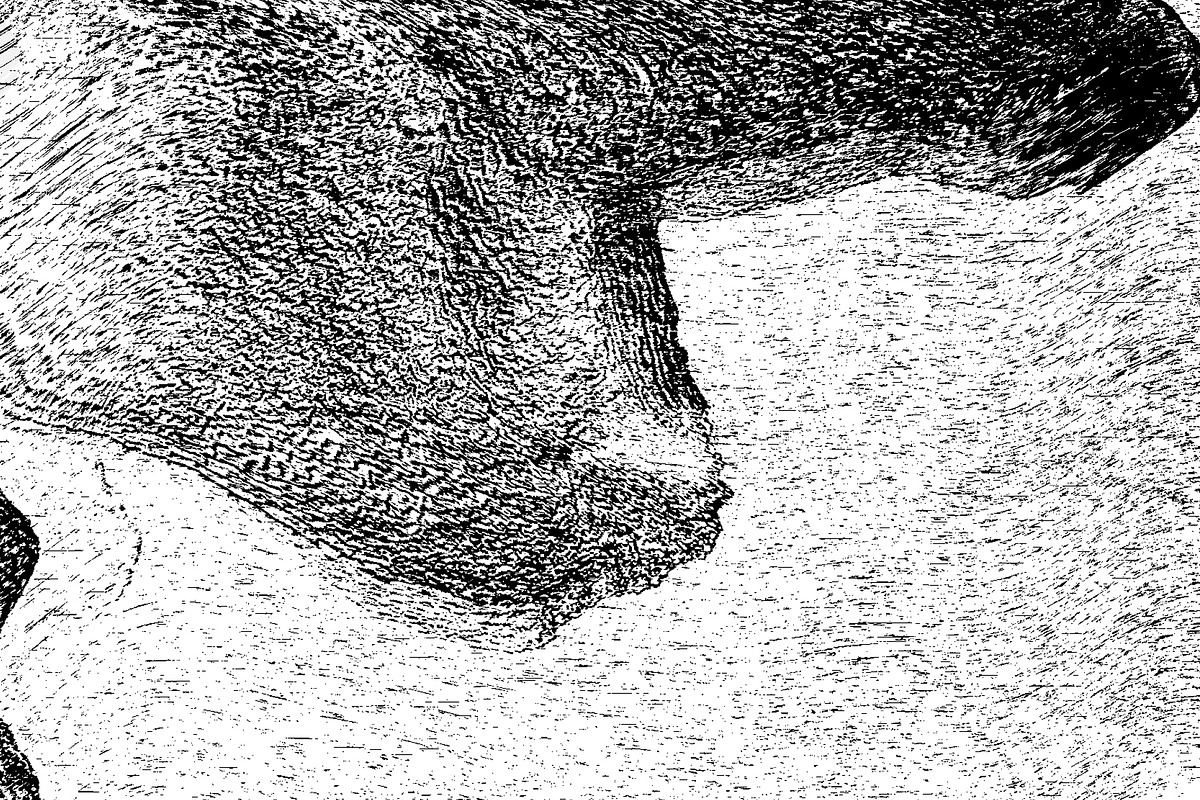 Lilliputian, a Texture Graphic by Jennifer Lauren Creative (Photo 4 of 28)