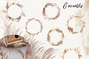 Watercolor pampas grass collection, a Decorative Illustration by TanyaOak (Thumbnail 4 of 8)