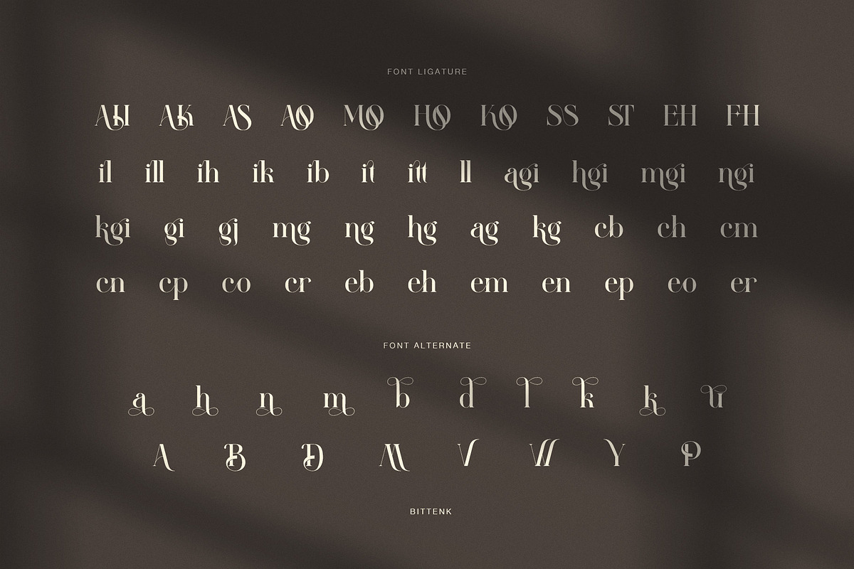 Blittenk Luxury Serif Font, a Serif Font by Perfectype (Photo 8 of 8)