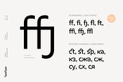 TT Severs, a Sans Serif Font by TypeType (Thumbnail 6 of 10)