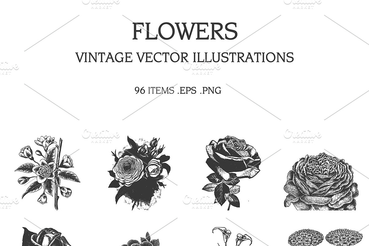 Vintage Vector Illustrations Bundle, a Food Illustration by TheBlackPixelCo (Photo 7 of 17)