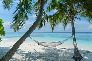 Beach hammock hanging between palm trees, a Photo by AlyaAnd