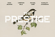 Brontide Typeface - SVG + 2 OTF font, a Sans Serif Font by VP Fonts (Thumbnail 4 of 7)