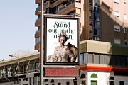 Karosa Modern Serif Display Font, a Serif Font by timelesstype.co (Thumbnail 4 of 20)