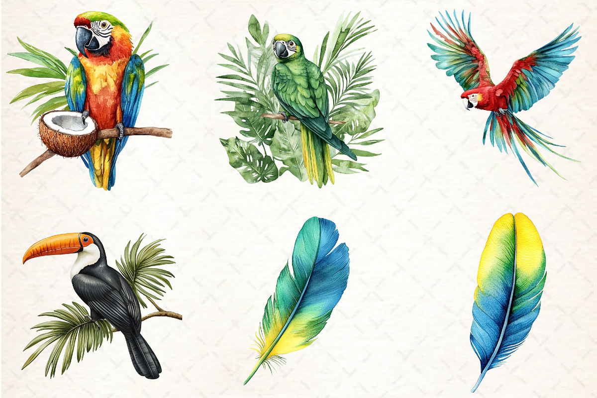 Watercolor Tropical Parrots Clipart, an Illustration by Libby Wishes (Photo 2 of 6)