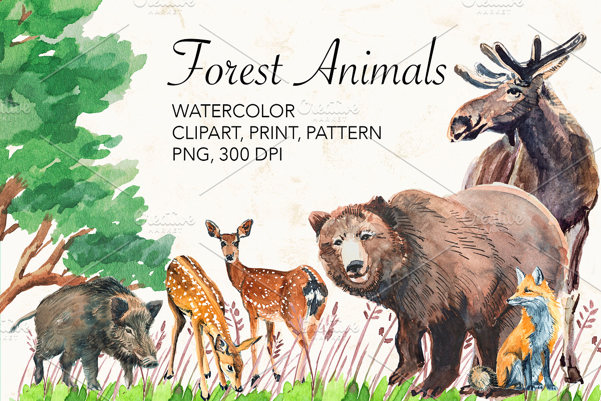 Forest Animals watercolor., an Animal Illustration by lilisavelieva (Photo 1 of 6)