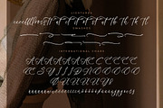 Benthany Amourty Modern Calligraphy, a Script Font by Letterena Studios Script (Thumbnail 14 of 15)