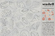 Seashell vector line art, an Illustration by Zeukaa (Thumbnail 2 of 4)