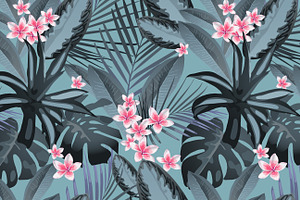 Tropical Patterns & Set VECTOR 2